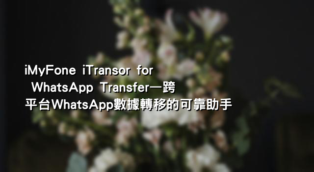 iMyFone iTransor for WhatsApp Transfer—跨平台WhatsApp數據轉移的可靠助手