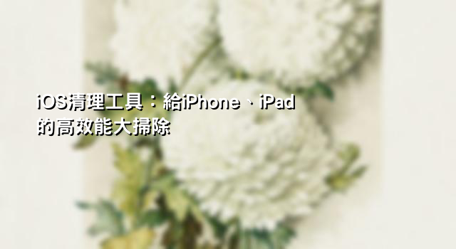 iOS清理工具：給iPhone、iPad的高效能大掃除