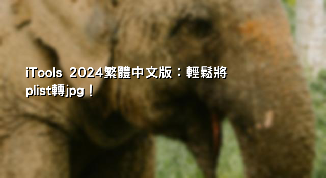 iTools 2024繁體中文版：輕鬆將plist轉jpg！