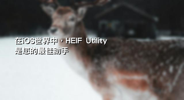 在iOS世界中，HEIF Utility是您的最佳助手