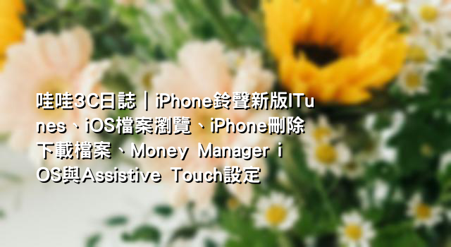 哇哇3C日誌｜iPhone鈴聲新版ITunes、iOS檔案瀏覽、iPhone刪除下載檔案、Money Manager iOS與Assistive Touch設定