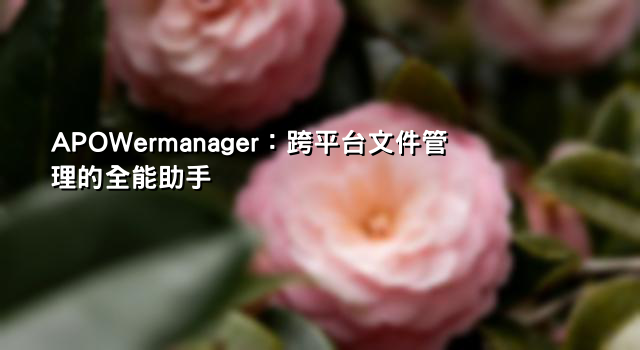 APOWermanager：跨平台文件管理的全能助手